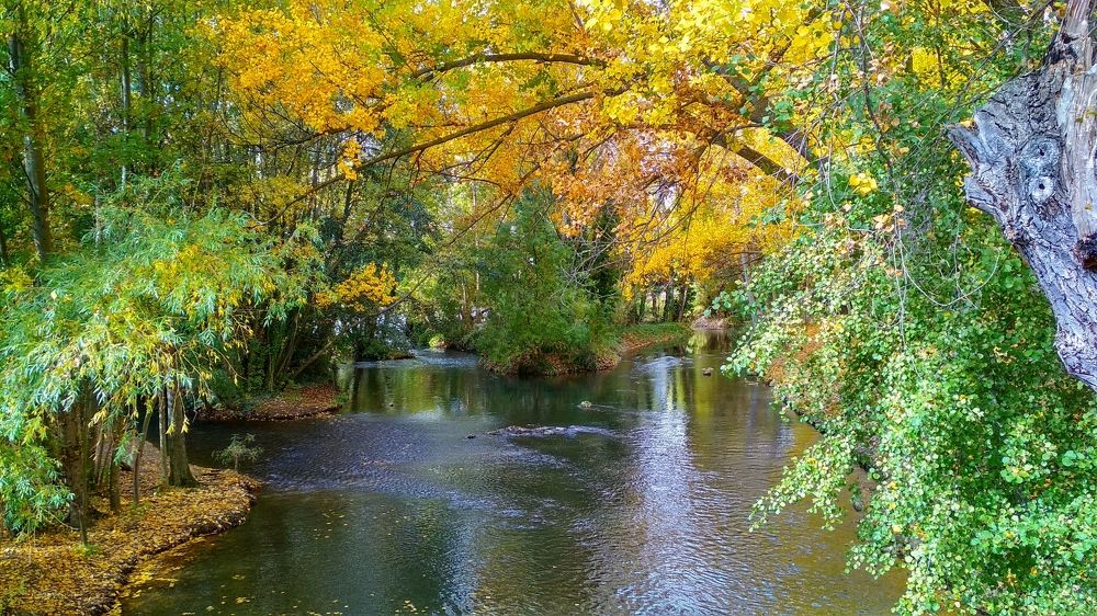 Фотография автора Алексей Головатый