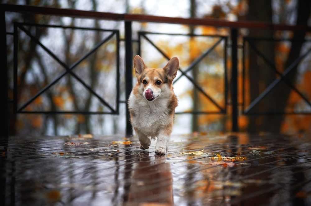 Photograph by Дарина Матасова