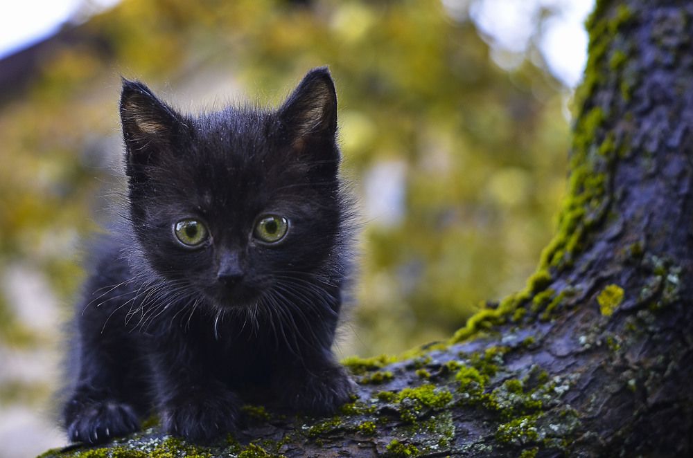 Photograph by Евгения Поветникова