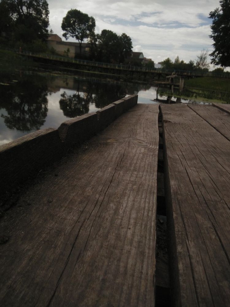 Photograph by Полина Протасова