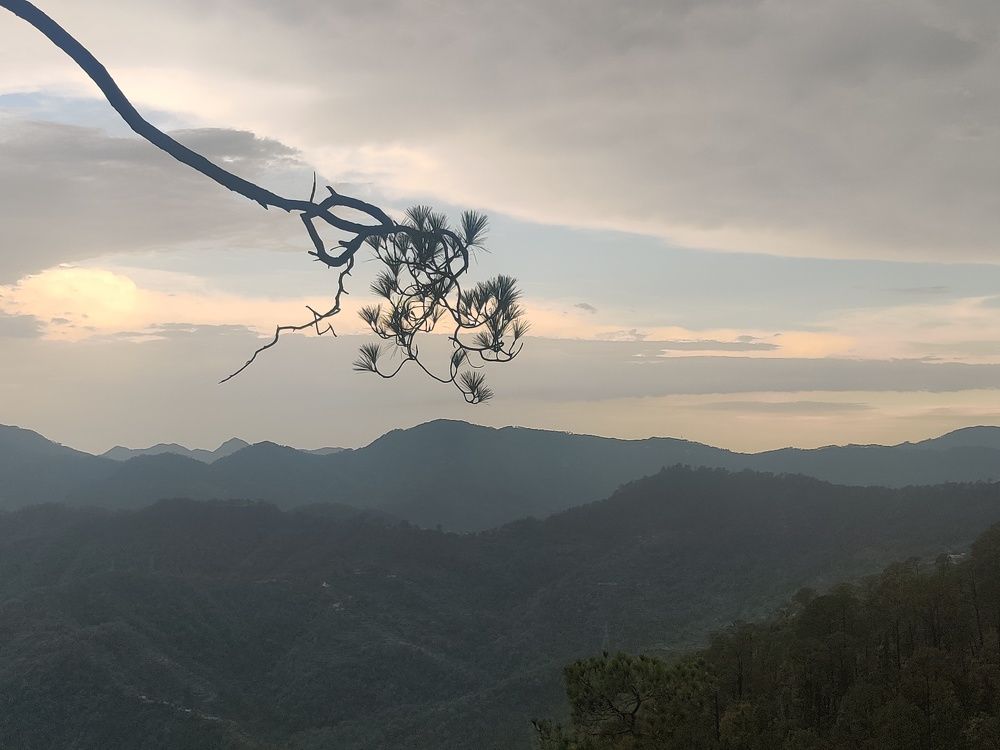 Photograph by vivek Kumar