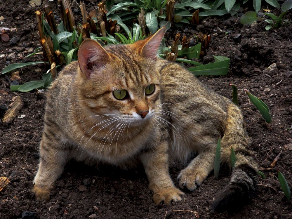 Photograph by Александра Лукашевич