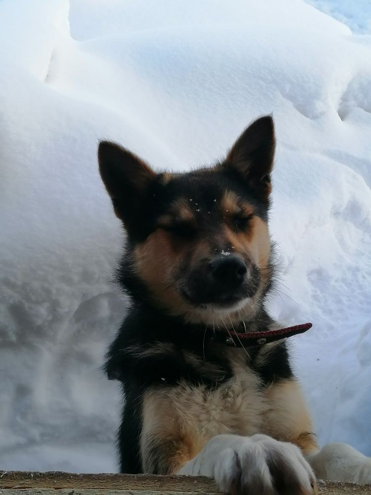 Photograph by Евгений Беляев