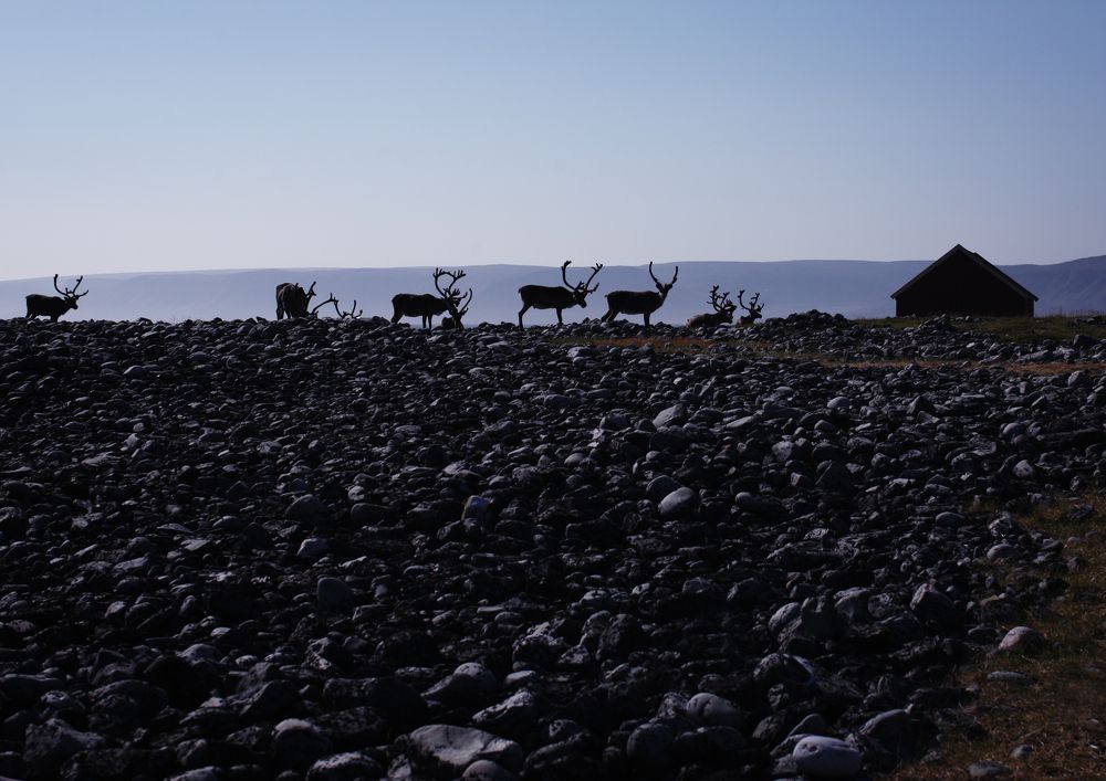 Photograph by Анна Луценко