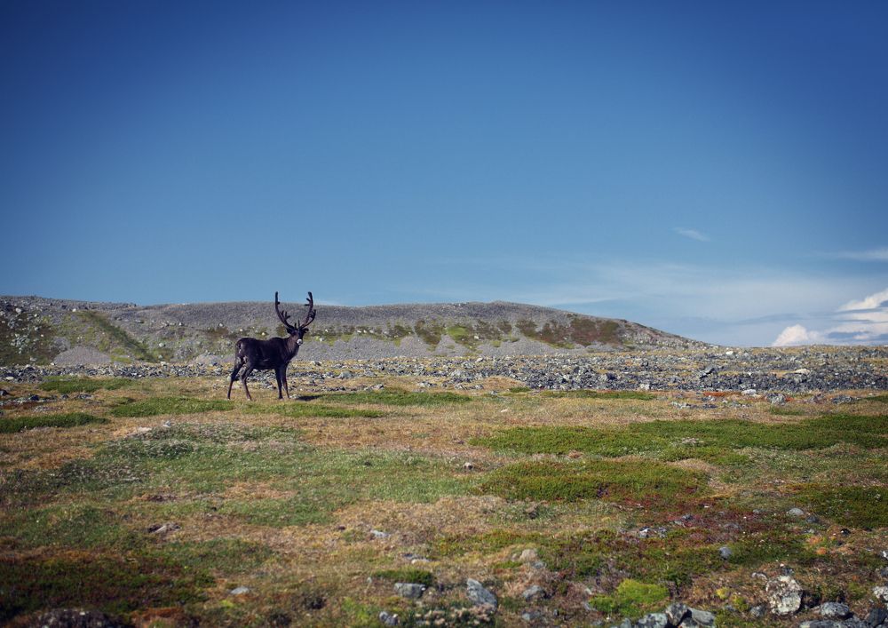 Photograph by Анна Луценко