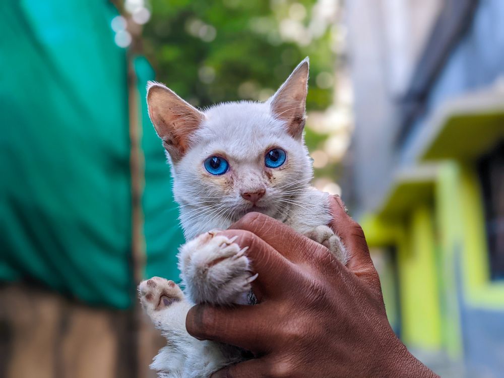 Photograph by SURIT DATTA