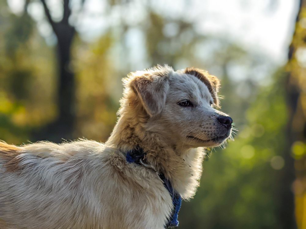 Photograph by SURIT DATTA