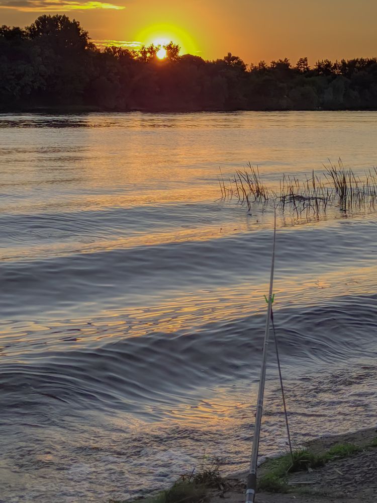 Photograph by Татьяна Сытова