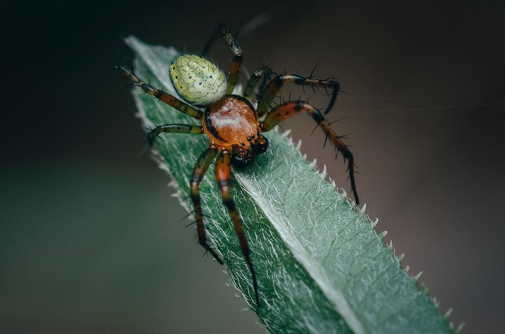 Photograph by Денис Белов