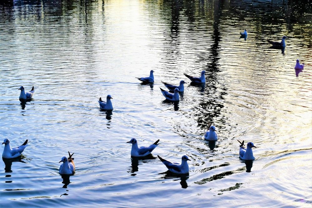 Photograph by Marina Eremin