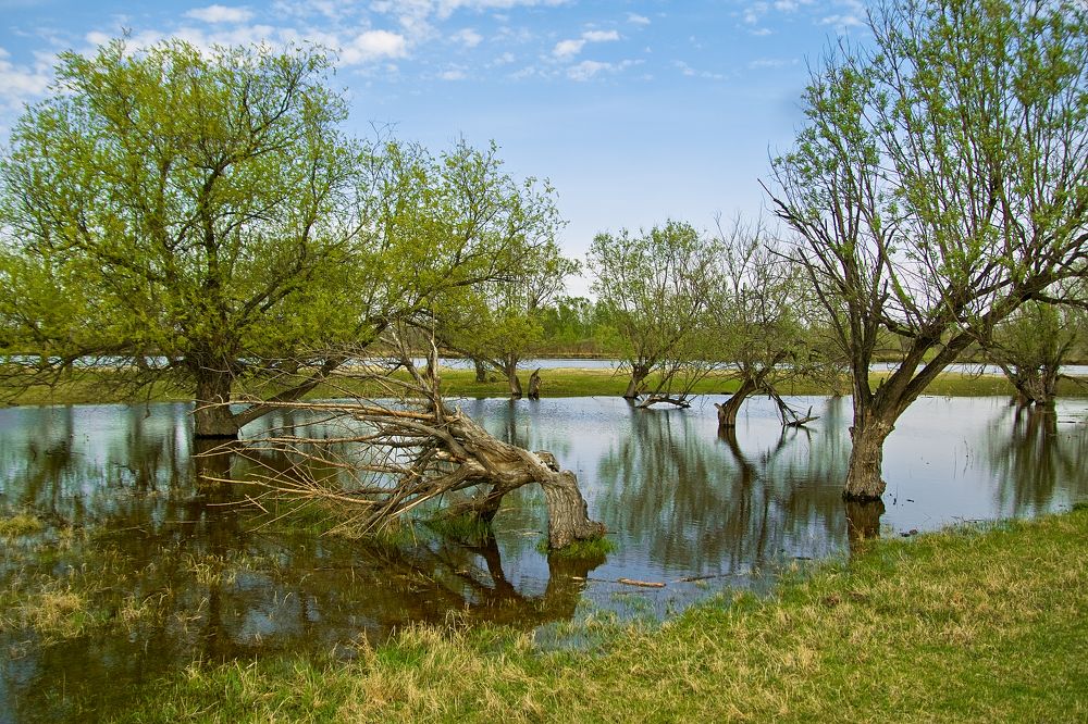 Photograph by Вараксин Николай