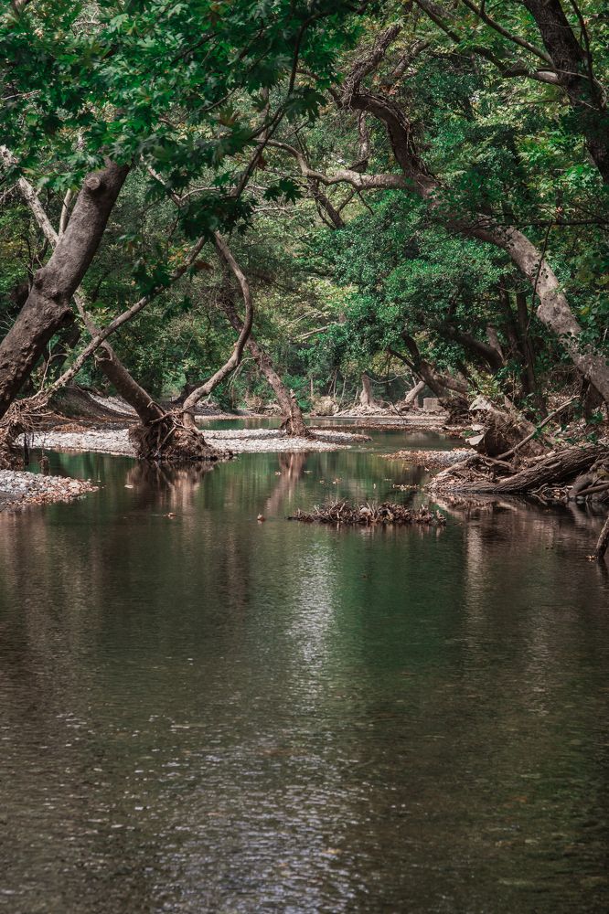 Photograph by Panagiotis Grammatikakis