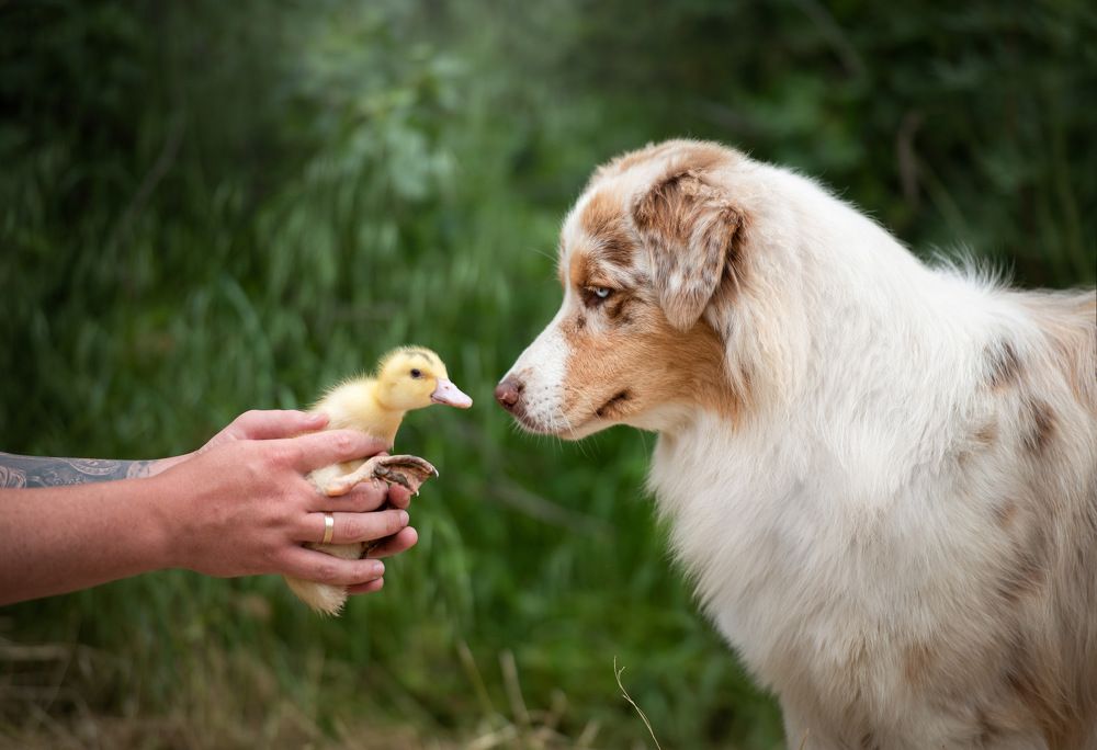 Photograph by Юлия Гасс