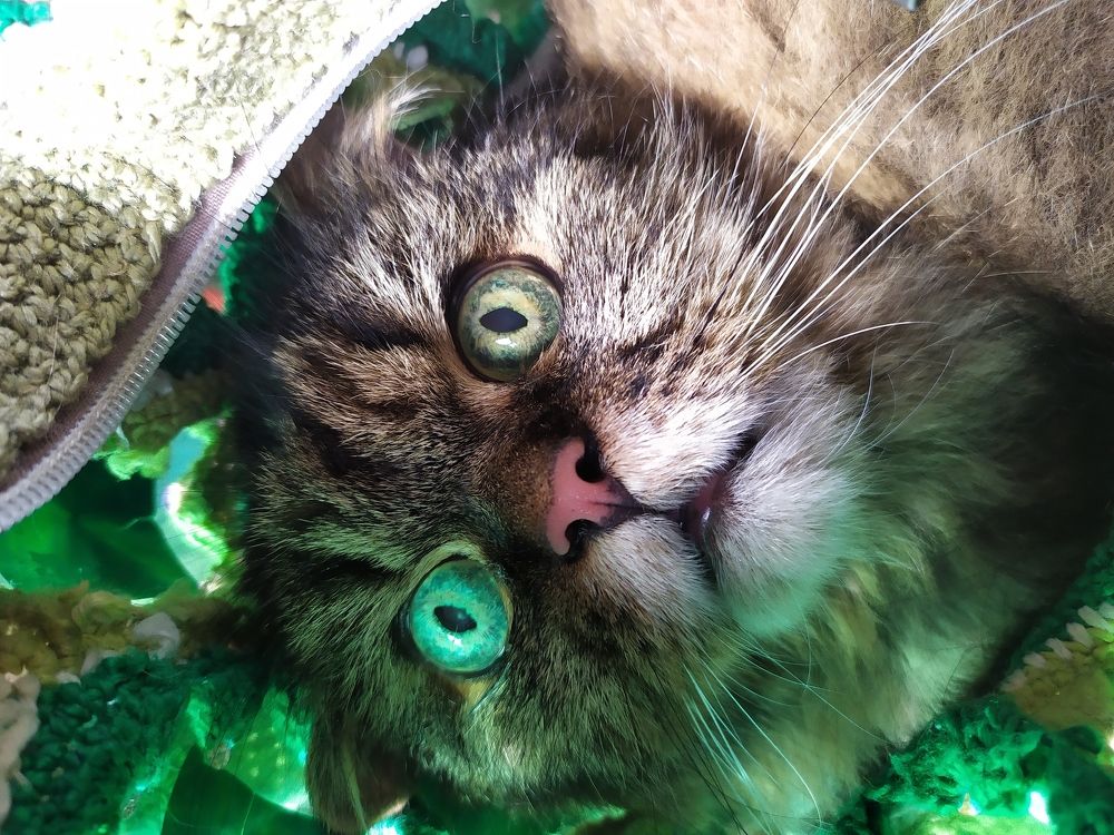 Photograph by Юлия