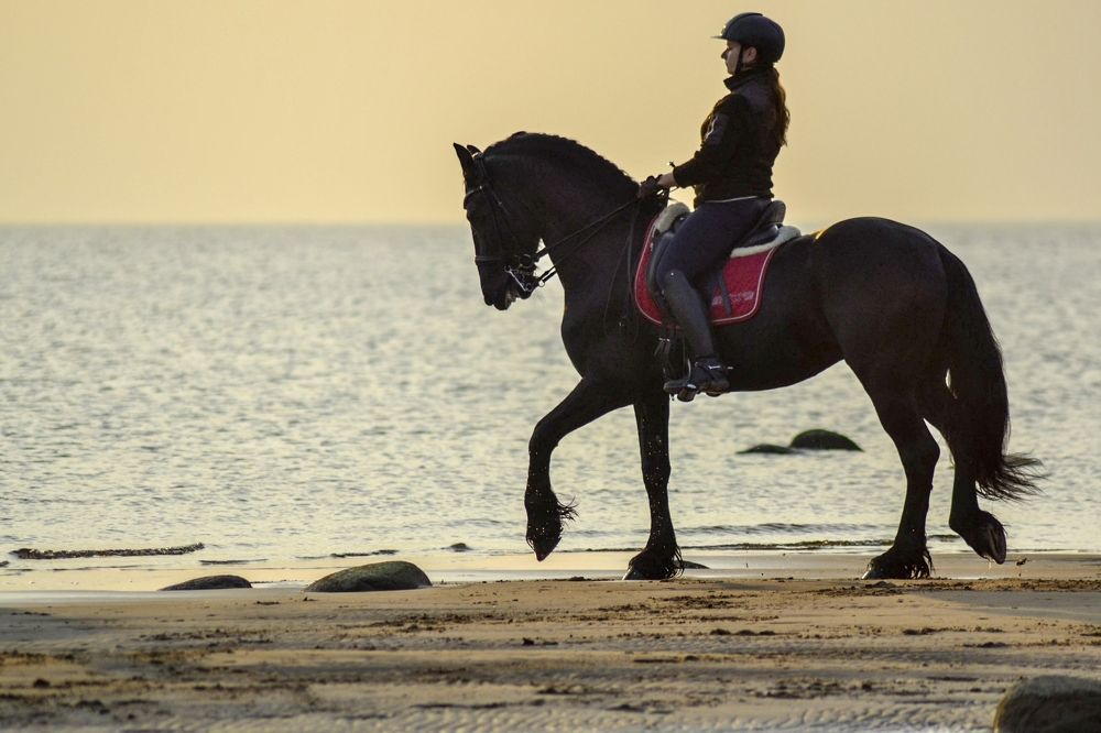 Мощь и грация