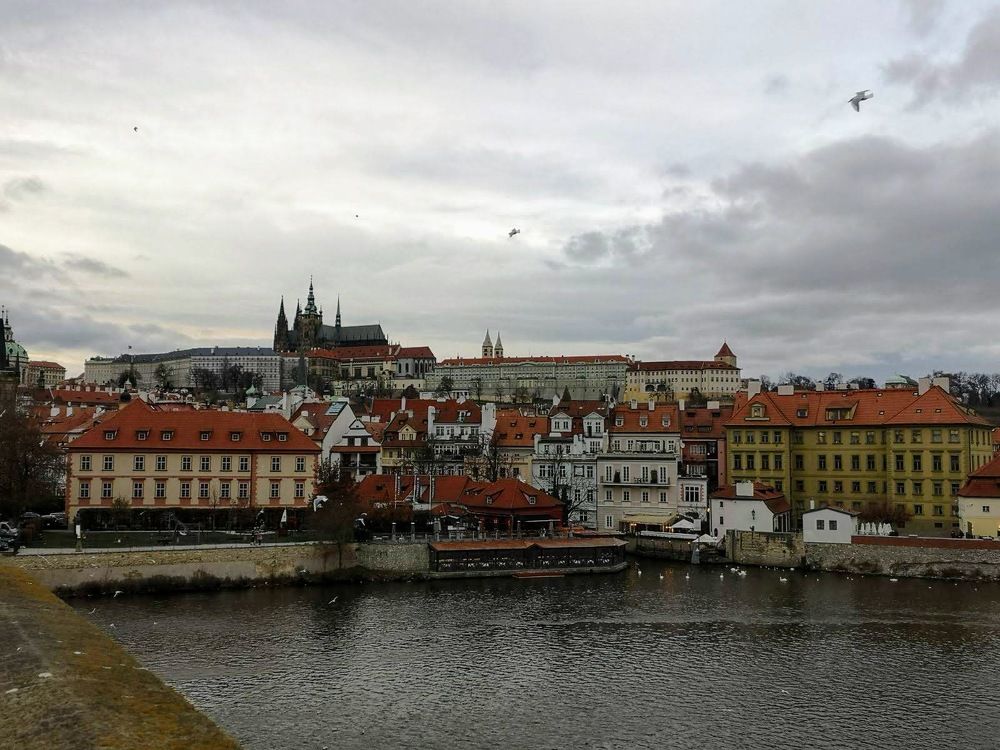 Photograph by Ирина Пшеничникова