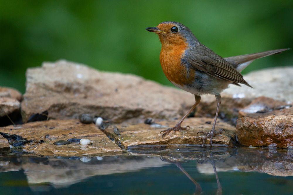 Photograph by Марат Кучкаев