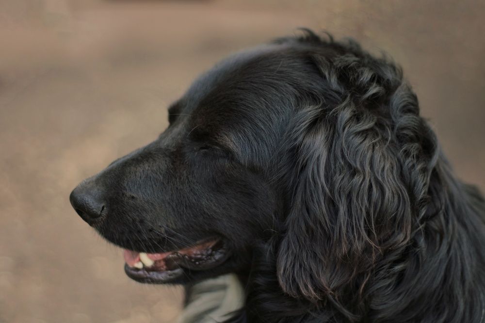 Photograph by Гульжан Шарипова