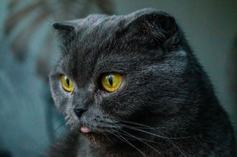 Photograph by Виктор Сёмушкин