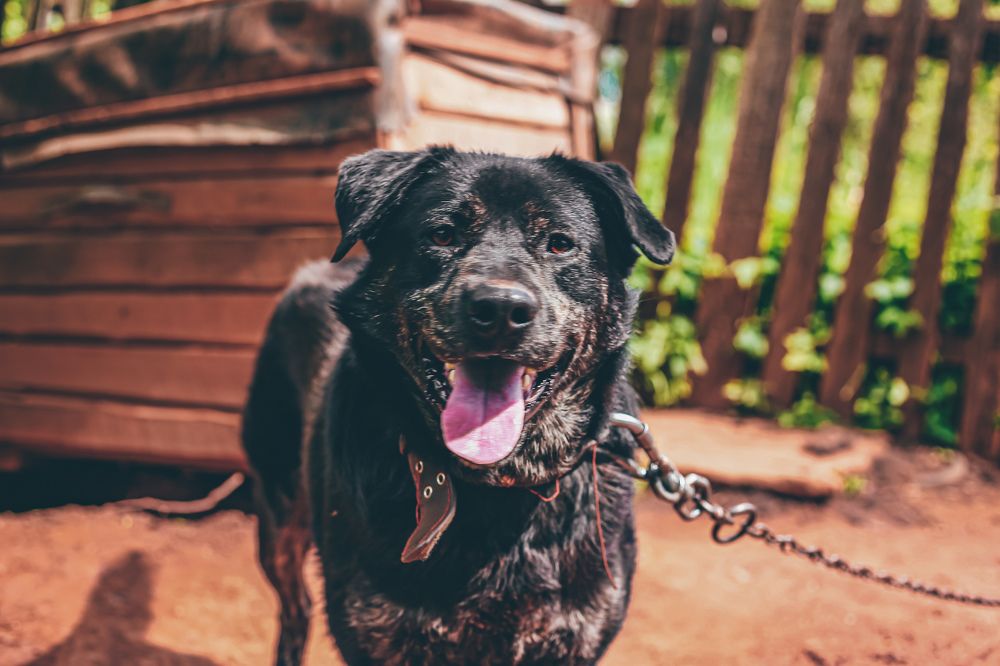 Photograph by Дмитрий Малышев