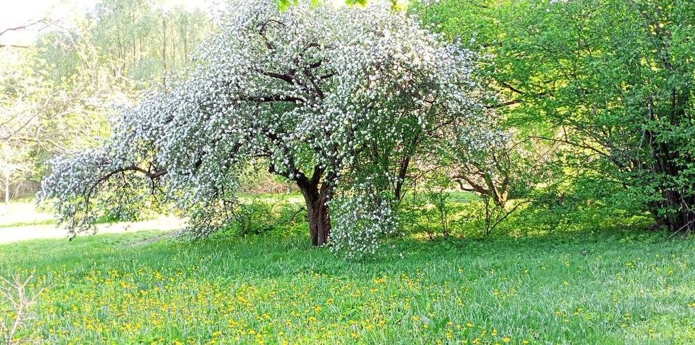 Photograph by ирина токарева