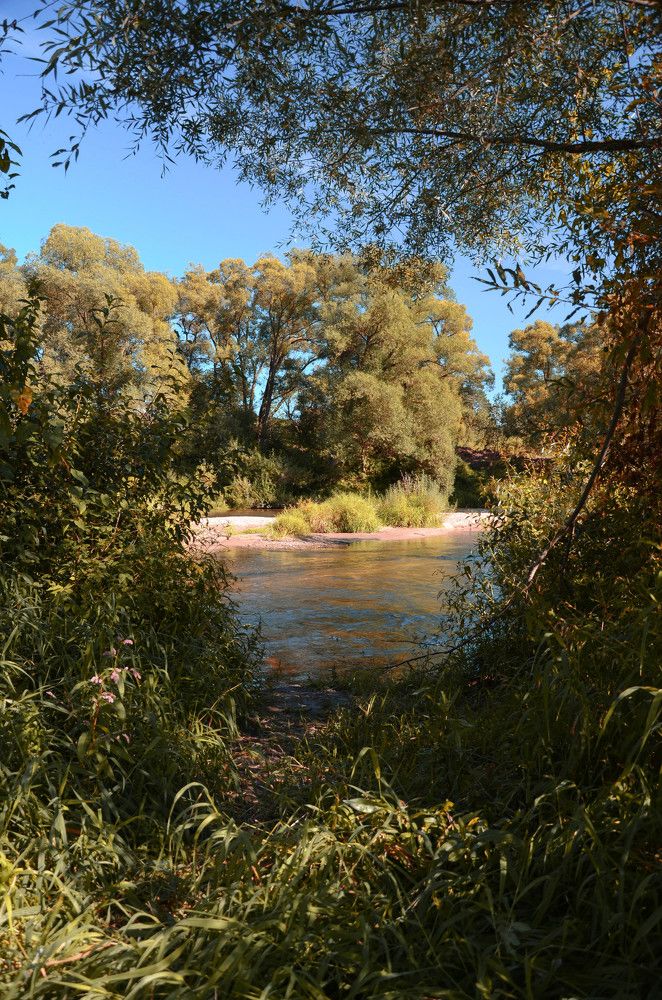 Photograph by Борис Шохин