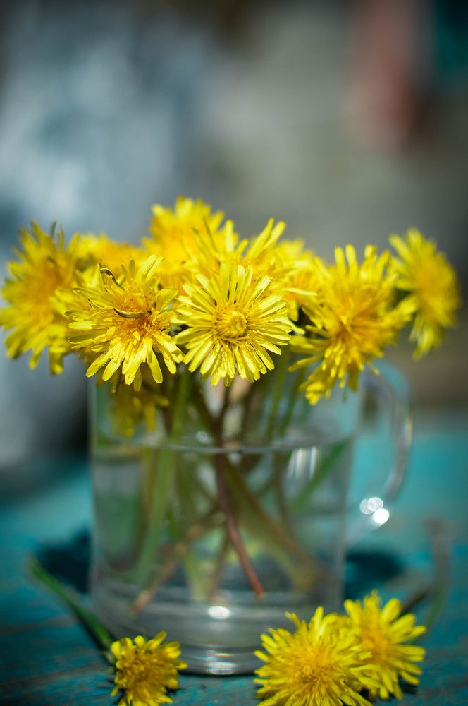 Photograph by Екатерина