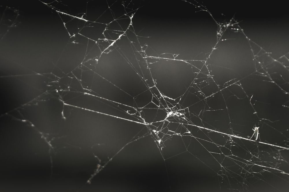 Photograph by Светлана Гонская