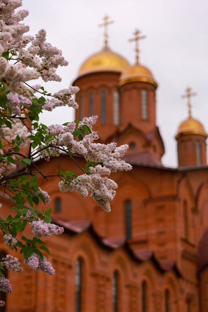 Photograph by Валерия Афонасьева