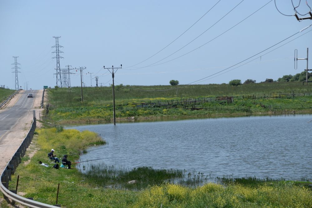 Photograph by Владимир Бутов