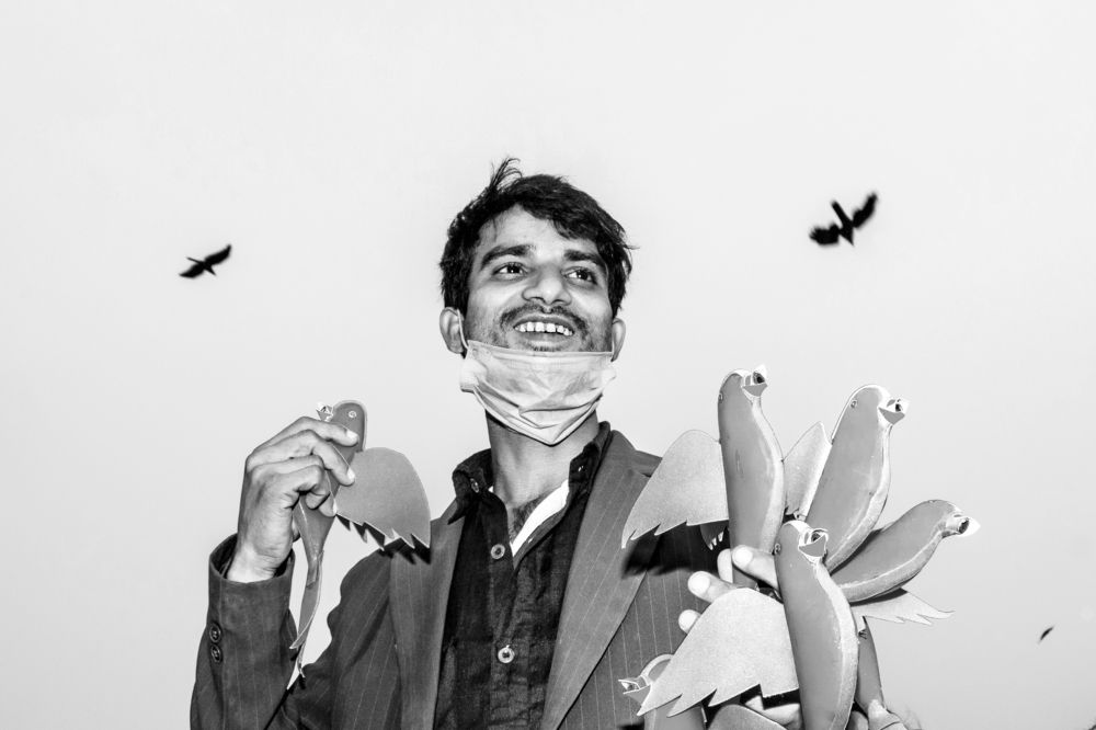 The Birdcatcher