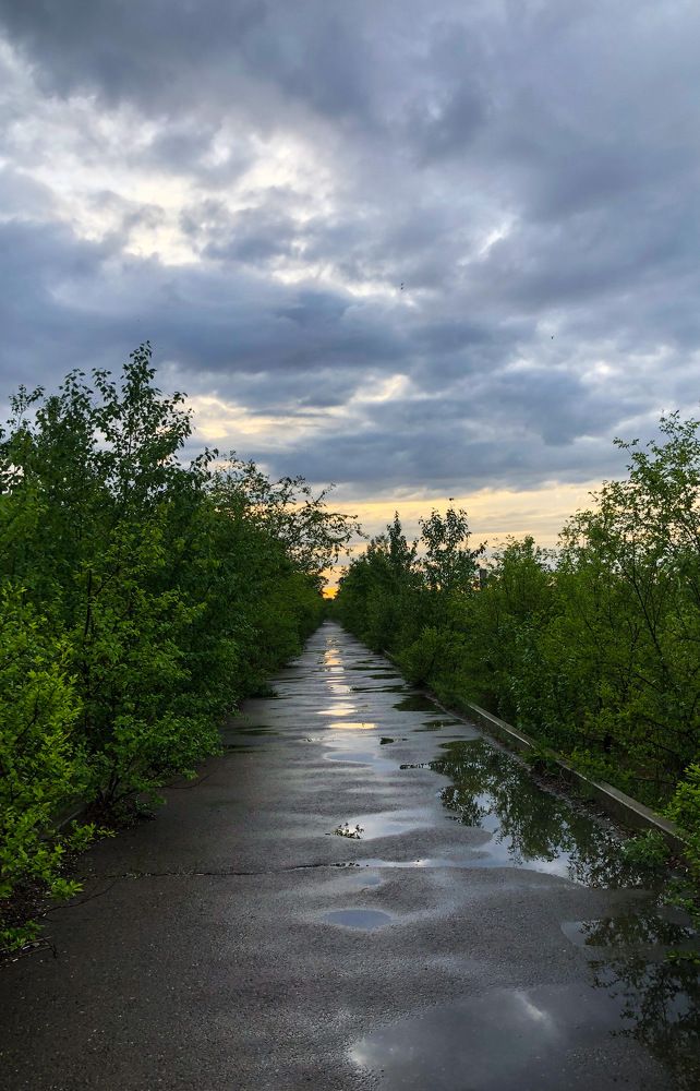 Photograph by Ирина Маркина