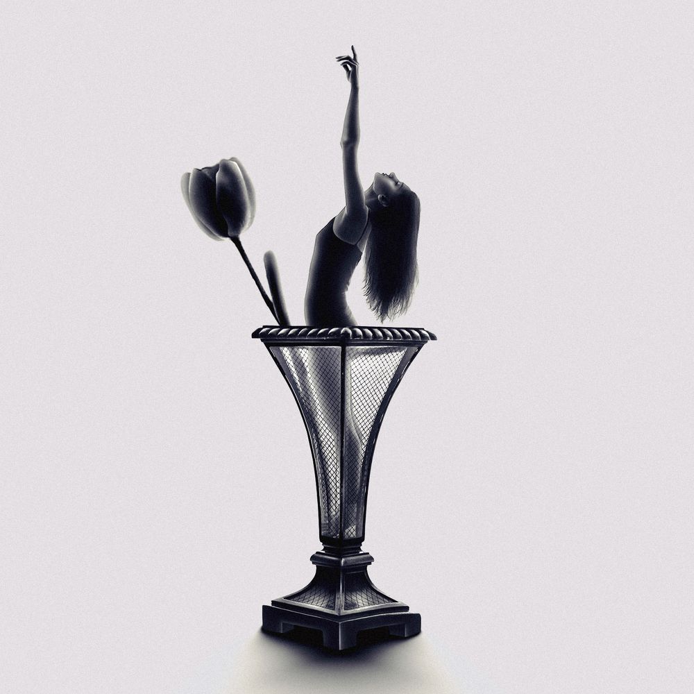 Silhouettes in The Vase