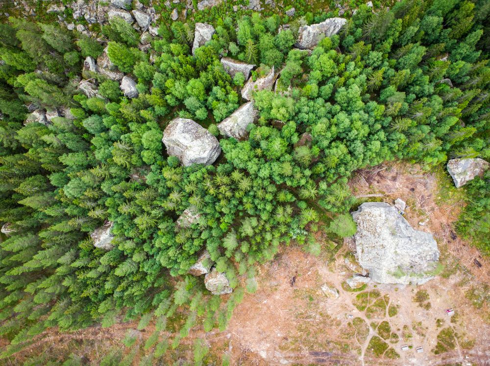 Photograph by Marta Magiera