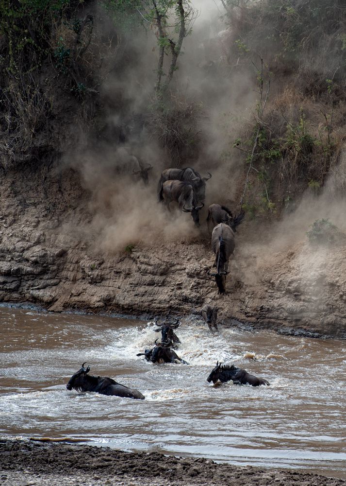 Boundary Of Life And Death