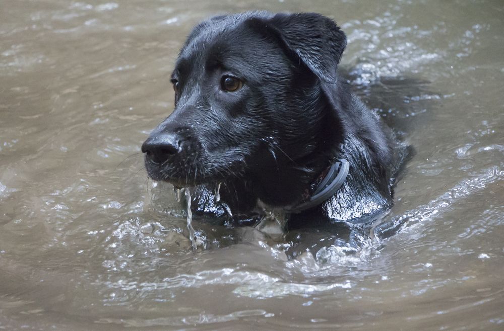 Photograph by Валентина Лопаткина
