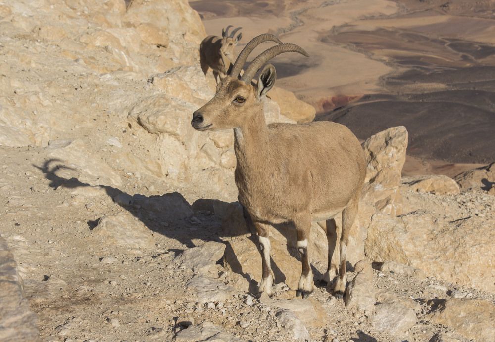 Photograph by Валентина Лопаткина