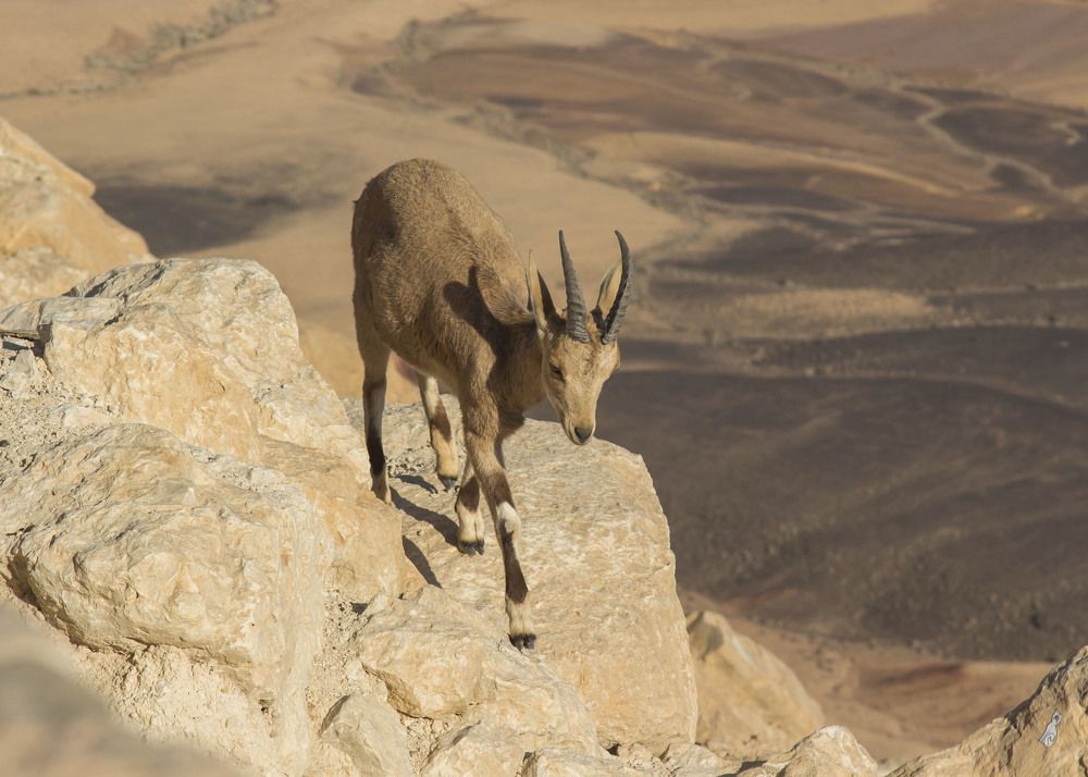 Photograph by Валентина Лопаткина