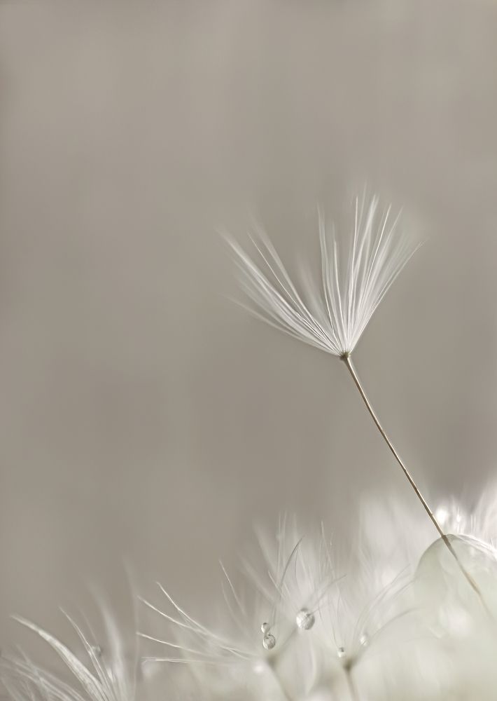 Photograph by Олег Зальвовский