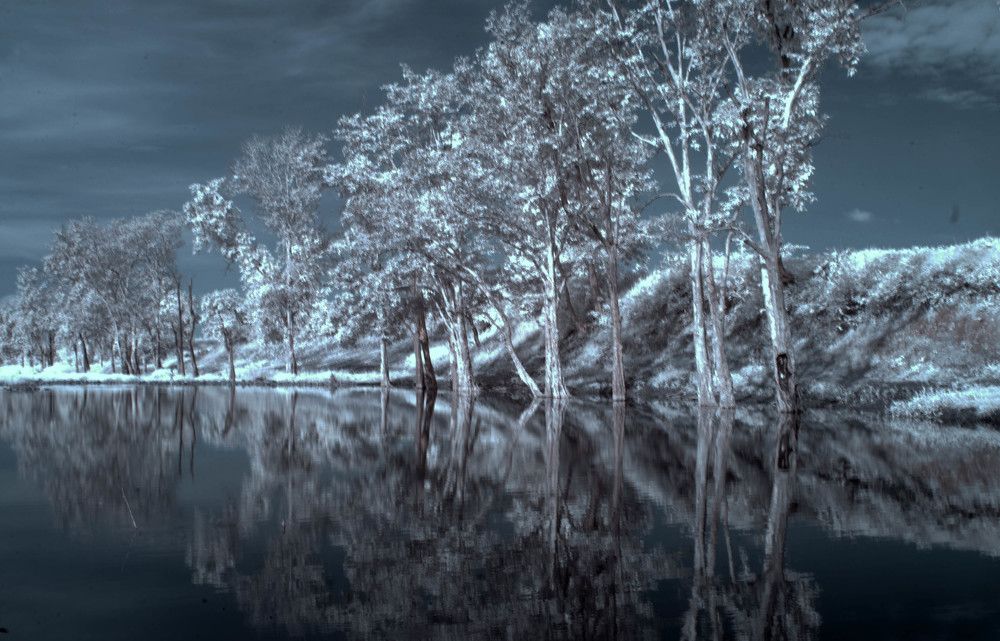 Фотография автора Sanjay Shukla