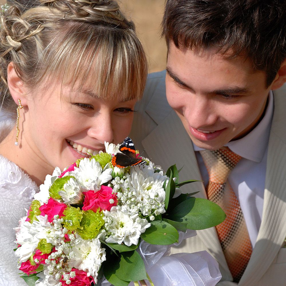 Бабочка,которая садится не на каждый свадебный букетбукет