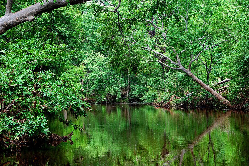 Фотография автора Sanjay Shukla