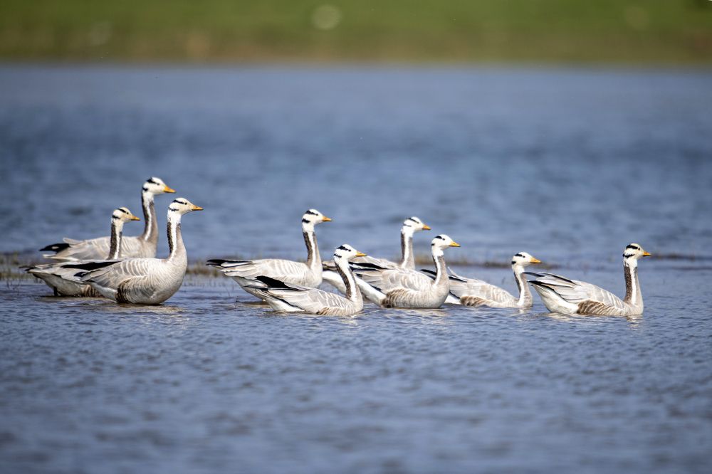 Фотография автора Sanjay Shukla