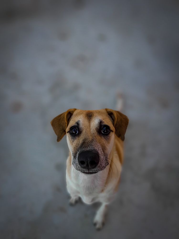 Фотография автора Rudra Prasad Dhungana