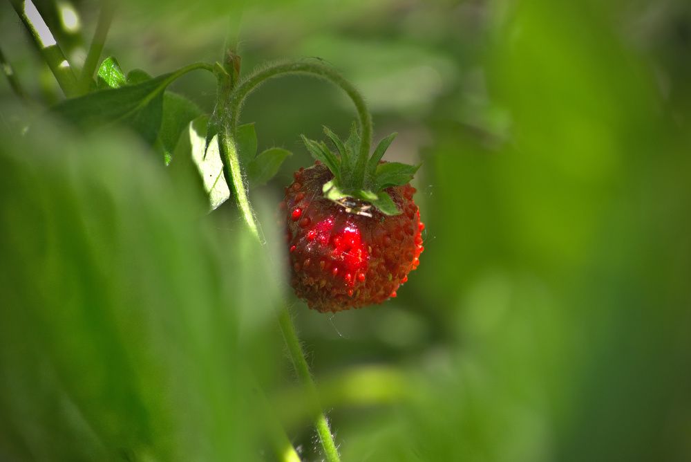 Photograph by Олег Каракин