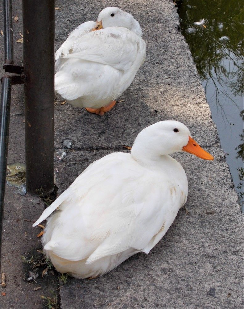 Photograph by José Luis Mendoza Machado