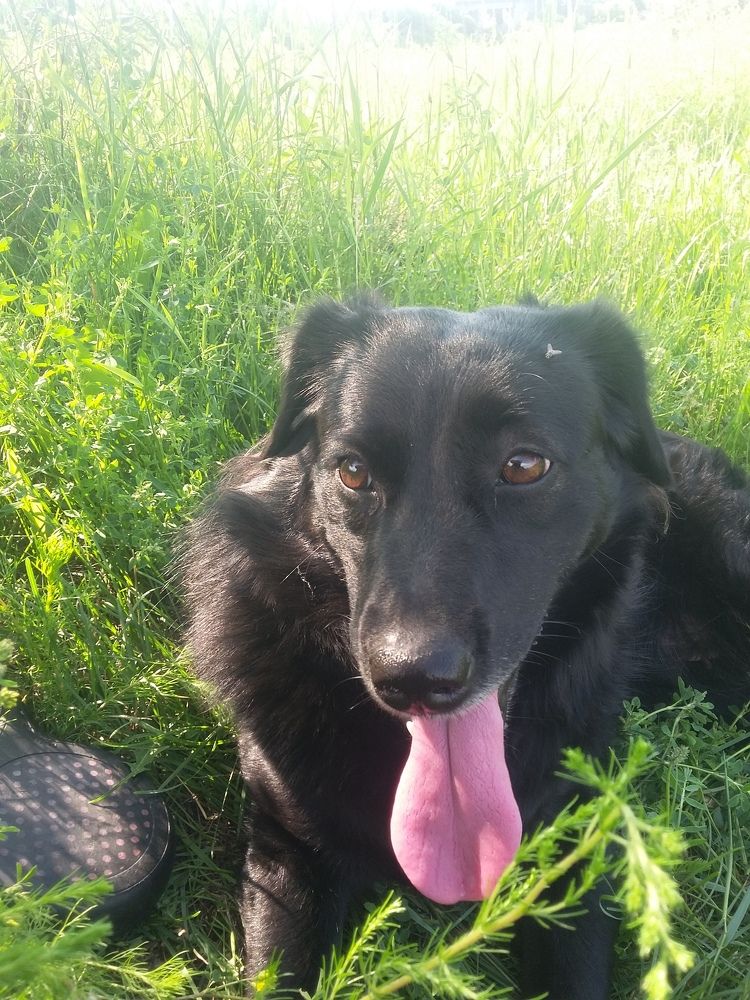 Photograph by Светлана Хоботова