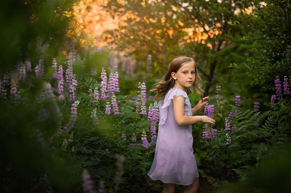 Фотография автора Nicole O’Rourke