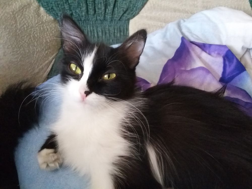 Photograph by Светлана Хоботова