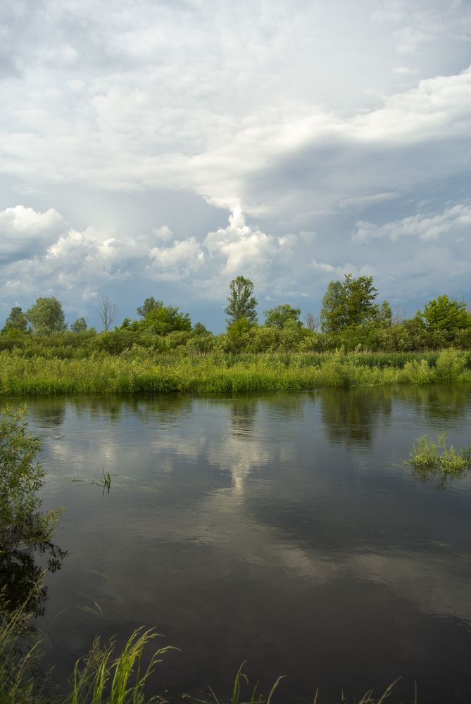 Photograph by Анастасия